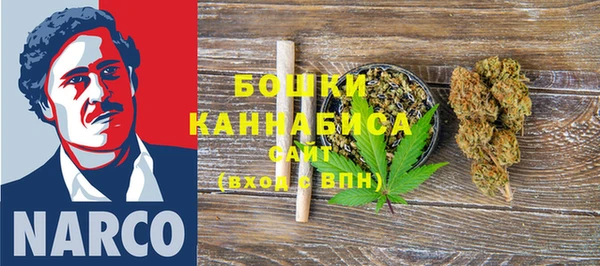 spice Богородск
