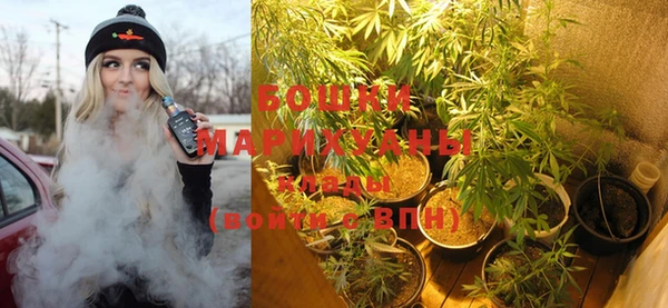 spice Богородск