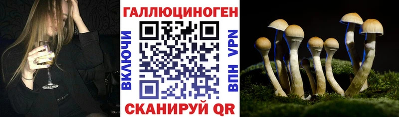 Галлюциногенные грибы ЛСД  Нюрба 