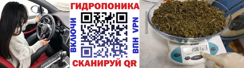 Канабис White Widow  как найти   Нюрба 